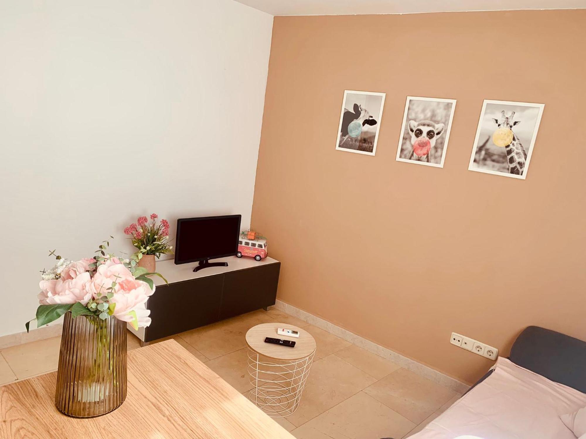 Appartement 2p Mendivil Centro *